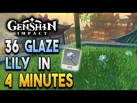 Glaze Lily Locations - Fast and Efficient - Ascension Materials -【Genshin Impact】