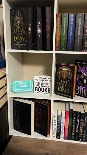 When you get more books and have to get a second shelf. Love my setup and can’t wait to read all of these! #booktok #books #booklover #bookgirlies #fyp