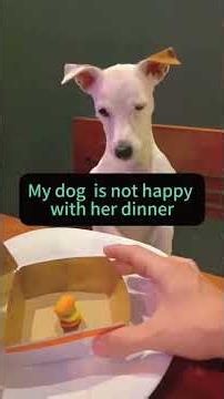 Cute Dogs Falling For Food Pranks 🤣 | Super Funny Viral Shorts 🐶