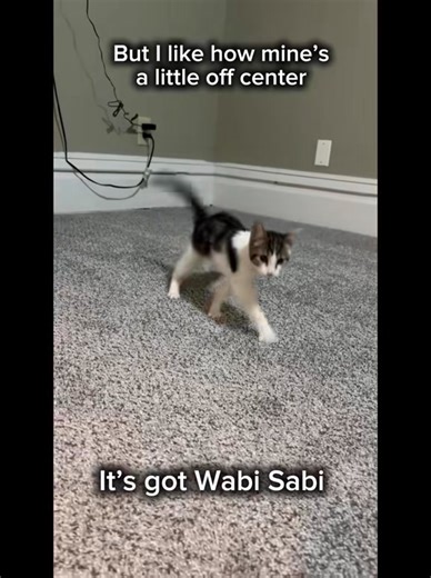 Meet Wobble — a very special kitten looking for a very special home! Wobble is an adorable 4.5-month-old kitten with a condition called Cerebellar Hypoplasia (CH), which causes him to be unsteady on his feet. His CH is a bit more advanced, so he does fall over frequently, but that doesn’t stop him from being a happy, determined little guy with a big heart. Wobble will thrive in a home with carpeted floors, as he uses his claws to help steady himself and climb onto cozy spots like the bed, couch,