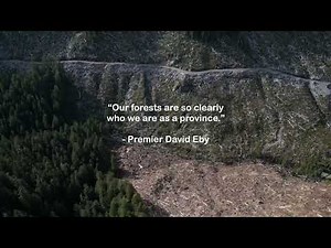 Logging of Beautiful BC