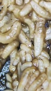 Banana 🍌 Microscope Under 😱 . . . . #banana #fruits #microscope #lab #undermicroscope #reels #Amazing | Microscope Under