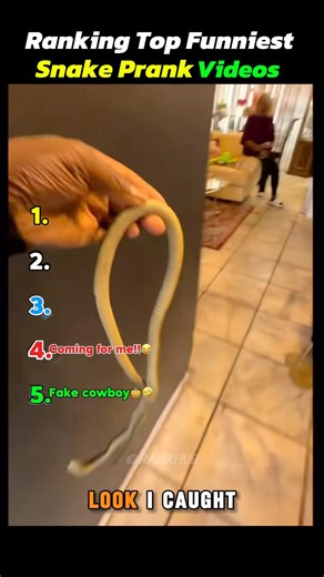 RANKING THE FUNNIEST FAKE SNAKE PRANK VIDEOS😂😂