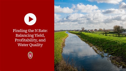 ▶ Watch: Finding the N Rate: Balancing Yield, Profitability, and Water Quality