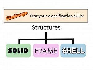 Classifying Structures
