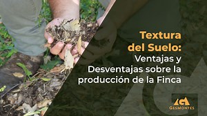Textura del Suelo: Ventajas y Desventajas sobre la Producción de la Finca | Gesmontes