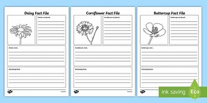 Flower Fact File Sheets