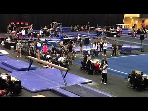 Madison Ulrich | Level 9 Gymnastics | Sand Dollar Invitational 2017