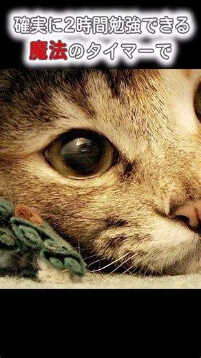 【癒しと集中】#ポモドーロタイマー #タイマー #bgm #集中 #勉強 #音楽 #short #shorts #ショート #25分 #冬 #受験 #入試 #テスト