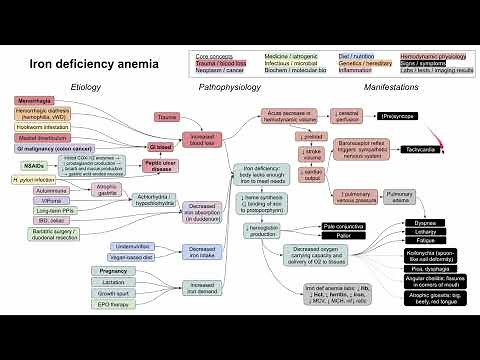 Iron deficiency anemia (mechanism of disease)