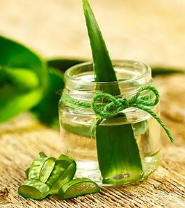 10 Health Benefits of Aloe Vera For Babies