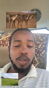 👂👈hanga dhumaa dhageeyfadhaa. Hojii walii baasuun itti fufee jira share waliif godhaa namni keenya hojii dhabuun qabuu in shaa Allah | Jamaal Oromoo