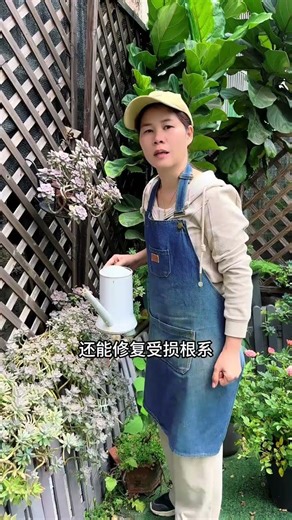 Revive Your Plants: The Ultimate Guide to Rotten Root Rescues