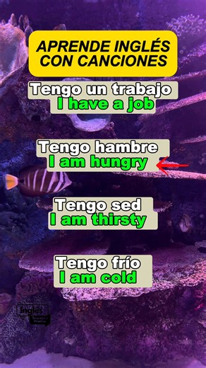 29K views · 855 reactions | Canciones para aprender inglés Fácil y rápido #CancionesEnInglés #AprenderInglés #InglésConCanciones #CantaYAprende #EnglishTips #InglésFácil | Inglés Esencial y Práctico | Facebook