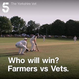 73K views · 773 reactions | Forget The Ashes, THIS is the biggest rivalry in cricket. Farmers vs Vets in the Yorkshire Vet charity match. Who will be bowled over and who will be left spinning?   The Yorkshire Vet, Tuesday 8pm | Channel 5 | Facebook