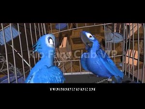 Making Rio Animation 3 (Rio Fans Club VIP)