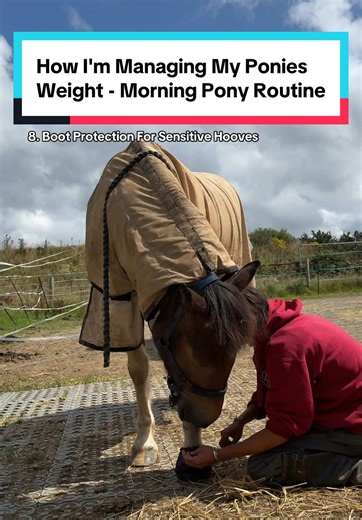 Managing Pony Weight: Effective Morning Routine Tips