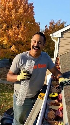 This Mailbox Joke Is Hilarious! 📬💀 | Laugh Out Loud | Your Daily Dad Joke #dadhumor