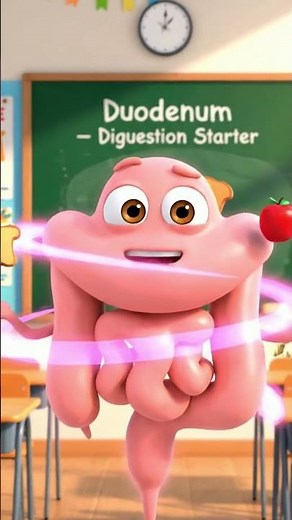 This Organ Starts Digestion! | Duodenum Explained #reels #healthreminder #facts