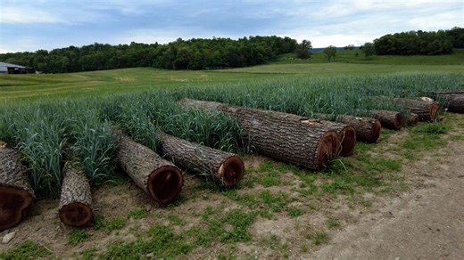 U.S. small business owners discuss concerns over tariffs