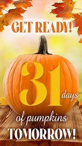 It’s Almost Time! 🎃 Starting October 1, we’re celebrating the magic of pumpkin carving—one day, one pumpkin at a time! 🧡 Follow along as we share a new pumpkin creation every day this month. #31Pumpkins #PumpkinMasters #FamilyCarvingFun #HalloweenCountdown | Pumpkin Masters