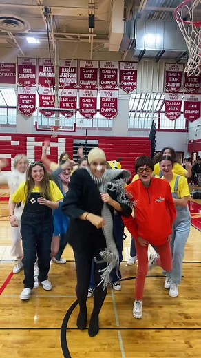 gameday! 🏐 #fyp #foryou #despicableme #gru #vector #minion