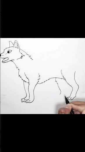 How to draw dingo #shortvideo #drawingtutorial #speeddrawing #howtodraw