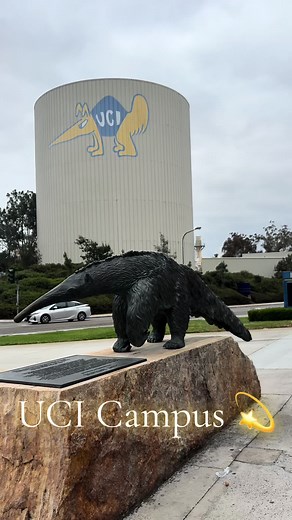 Exploring UCI Campus Life as a College Student