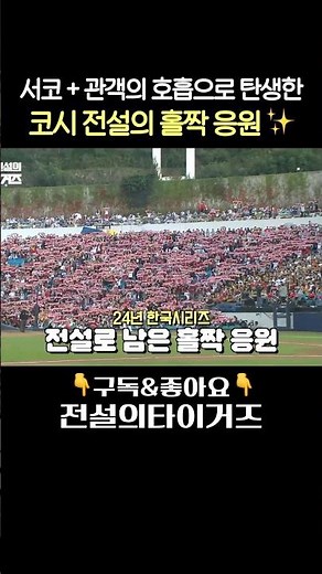 24년 한국 시리즈🇰🇷! 전설의 홀짝 응원은 서한국 단장 손에서 탄생?!#전설의타이거즈