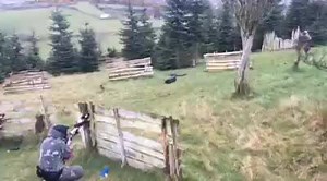 COMBO PACKAGE CLAY PIGEON SHOOTING & PAINTBALL £45pp 25clays and cartridges, 300 paintballs each Minimum of 10 players required Ideal for any occasion, birthday, hen or stag, sports team, corporate events! Based just outside Newry To book call 07745525102 or just message this page. | Watchtower Adventures
