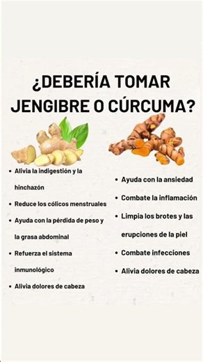 JENGIBRE VS CÚRCUMA : CUAL CONSUMIR #youtubeshorts #viral #bienestar