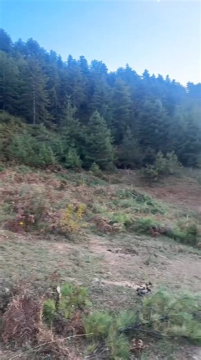 118 reactions · 38 shares |  Land for Sale – Paro Damchoena (Dhopshari Geog) ✨ Prime Location:  Between Hotel Six Senses and Ozen Resort  Near Druk Path Trek starting point (CFM2+4J)  Just 5 km from Paro Dzong  Water and Electricity available ✅ Road connected (blacktopped) ✅ Total 21 plots available WhatsApp @+97517307161 or +97577831941 | PD Express | Facebook