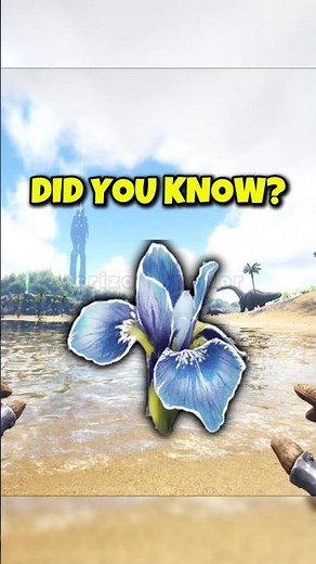 Rare Flowers Will GET YOU KILLED in ARK #arksurvivalevolved #ark #arktips #shorts #arksurvival