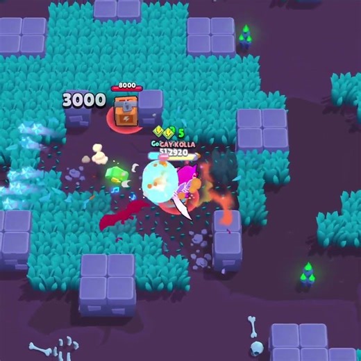 Which Shelly is good …🥶