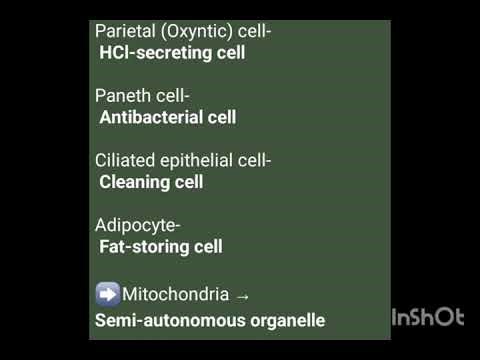 Cell organelles special nsmes