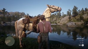 Red Dead Redemption 2: All Horse Breeds And Available Coats, As Well As How To Find Them | Happy Gamer