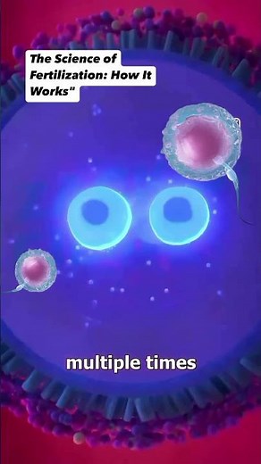 The Science of Fertilization: How It Works #fertilization #fertilityfacts