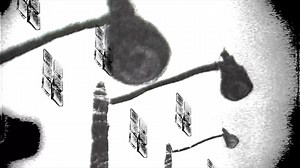 "Phosphenes" (clip) by Delaney McCallum