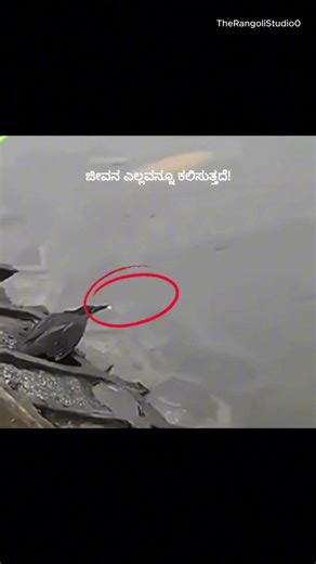 ಕಲಿಯುವ ಮನಸ್ಸು ನಮ್ಮಲ್ಲಿರಬೇಕು #lifelessons #quotes #mindsetshift #deepthoughts #kannadaquotes