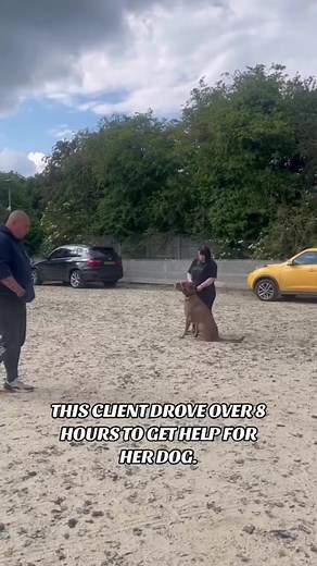 1.6M views · 10K reactions | This lady drove 8 Hours to get help for her dog | Lee Jones Official Dog Training | Facebook