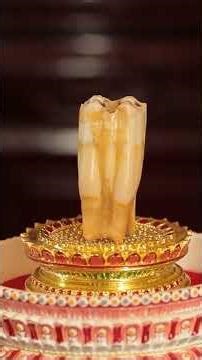 10000 Buddha Relics Collection - Buddha's Śarīras