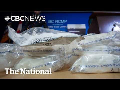 Canada’s street cocaine could get more dangerous after ‘El Mencho’ killing