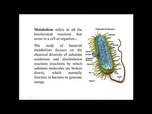 ||Microbiology || Bacteriology Lec.2 Part 2