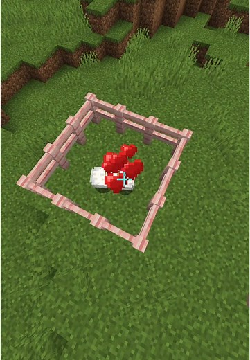 How to breed Chickens in Minecraft #minecraftbreeding #minecraftchicken #minecraftchickenfarm