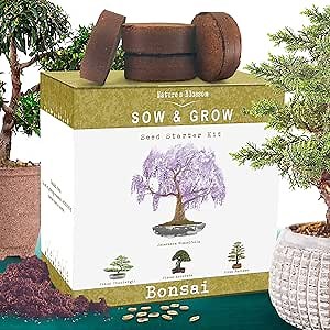 Nature's Blossom Bonsai Tree Kit - Unique Gifts for Indoor & Outdoor Gardening Enthusiasts - Includes Tools, 4 Types of Plant Seeds, Pots and Growing Guide - Secret Santa Gifts