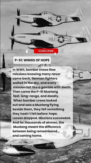 P-51: Wings of Hope | Military History Talks
