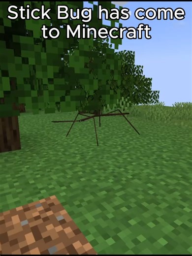 Exploring the Stick Bug in Minecraft