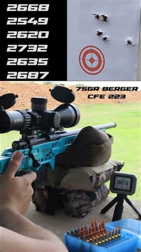 Ladder test with Berger 75gr CFE223