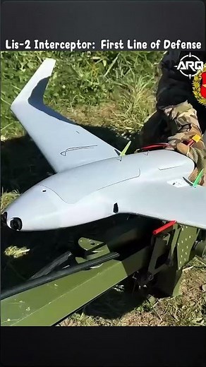 Lis-2 Interceptor: First Line of Defense