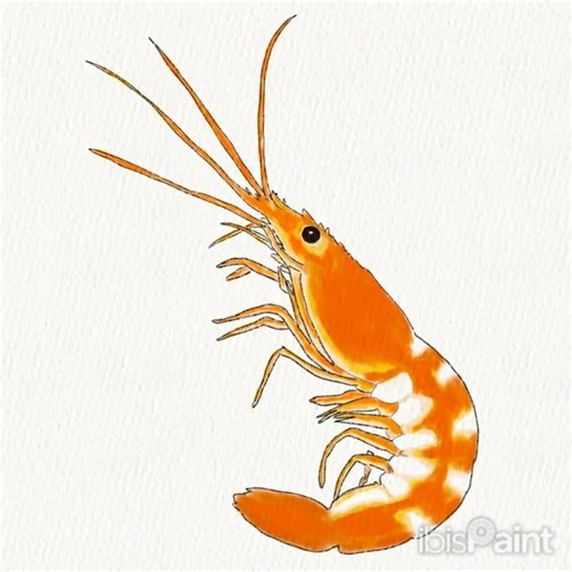 Drawing a shrimp in phone, coloring with pen fade #timelapse #digitalart #ibispaint #shorts